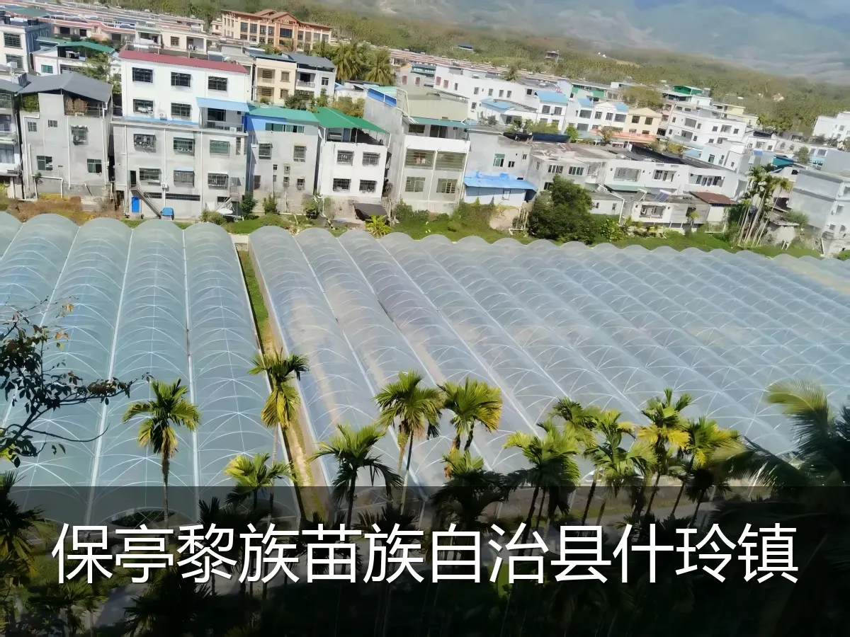 保亭黎族苗族自治县什玲镇