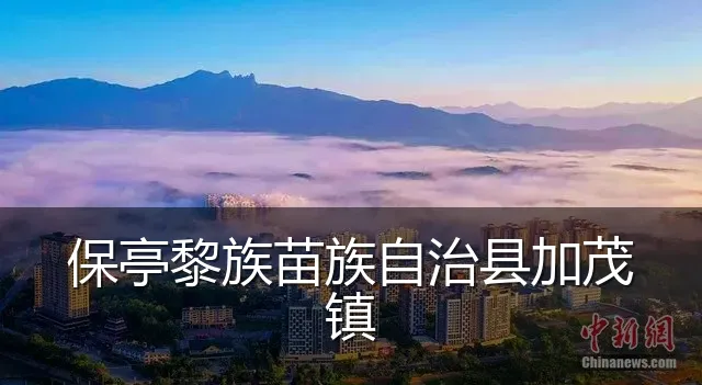 保亭黎族苗族自治县加茂镇